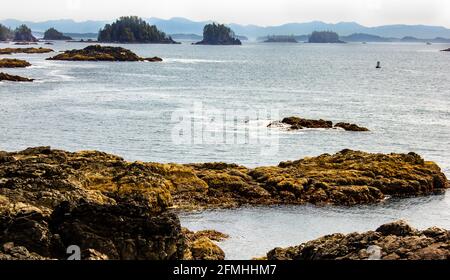 La côte ouest de l'île de Vancouver Canada près de Tofino Colombie-Britannique le long du sentier de randonnée du phare dans la ville d'Ucluelet. Banque D'Images