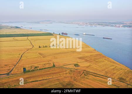 Anqing, Chine. 09e mai 2021. Les blés deviennent jaunes et sont en récolte à Anqing, Anhui, Chine le 09 mai 2021.(photo par TPG/cnschotos) crédit: TopPhoto/Alamy Live News Banque D'Images