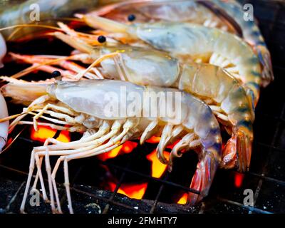 Crevettes grillées sur un gril flamboyant. Une rangée de crevettes crues de rivière est grillée sur la grille au charbon de bois. Banque D'Images