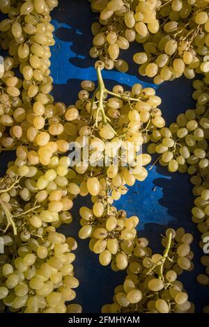 Raisins verts mûrs sur le marché des fruits gros plan Banque D'Images