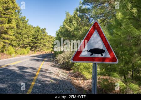 Signalisation routière indiquant que des tortues terrestres traversent la route Turquie Banque D'Images