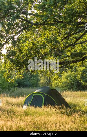 Petite tente verte sur la glade en forêt en été Banque D'Images
