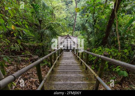 Depuis le dessus, vue panoramique sur les escaliers étroits en bois sur la colline Pente dans les bois verdoyants en Indonésie Banque D'Images