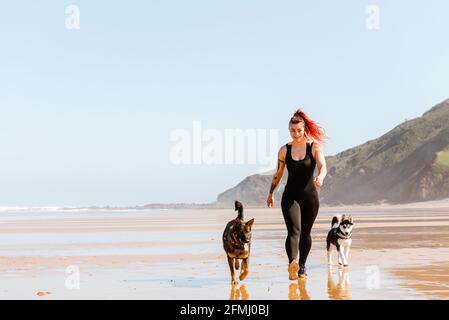 Athlète féminine se promenant sur une plage de sable humide avec l'allemand Berger et Husky sibérien contre l'océan Banque D'Images