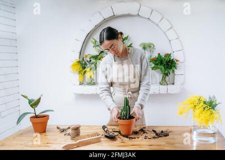 Jeune fleuriste femelle concentré dans un tablier à l'aide d'une brosse et d'une pelle tout en plantant le cactus dans le pot debout à la table en bois dans fleuriste Banque D'Images