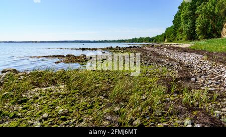 La côte de la mer Baltique à Eulenkrug près de Boltenhagen, Mecklembourg-Poméranie occidentale, Allemagne Banque D'Images