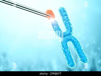 Rupture ou remplacement du chromosome X. Génie génétique, OGM et concept de manipulation génétique. Technologie Hi Tech dans le domaine du génie génétique. rendu 3d Banque D'Images