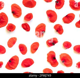 Motif fleuri sans couture, pétales de fleurs de coquelicot rouges, coquelicots isolés sur fond blanc, traçage, Banque D'Images