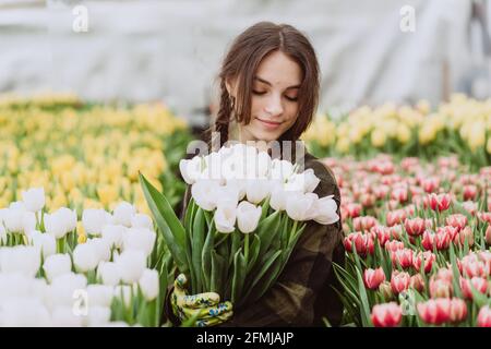 La jeune femme jardinière tient un bouquet de tulipes cultivés en serre. Fleurs de printemps et floriculture. Mise au point douce sélective, flou artistique. Banque D'Images