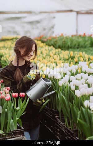 Une jeune femme jardinière en gants arrose un lit de tulipes à l'aide d'un arrosoir. Jardinage concept de passe-temps. Mise au point douce sélective, flou artistique. Artistique Banque D'Images