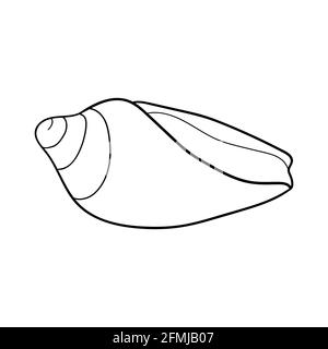 Partie conique dessinée à la main de la ligne gravée. Élément de conception pour les invitations, les cartes de vœux, les affiches, les bannières, les prospectus et plus encore. Illustration vectorielle isolée Illustration de Vecteur