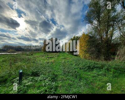 Nuages sur feuilles d'automne colorées dans la forêt de Nessebos entre Oud Verlaat en Rotterdam aux pays-Bas Banque D'Images