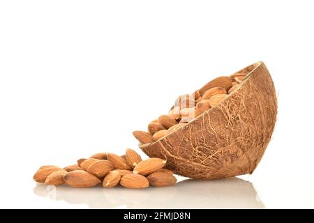 Plusieurs grains d'amandes pelées, brutes et organiques dans une coquille de noix de coco, en gros plan, isolées sur du blanc. Banque D'Images