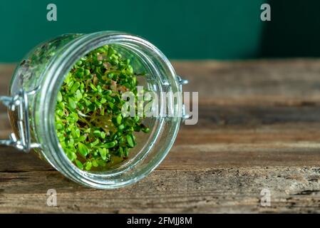 Culture du micro-vert dans un pot en verre. Luzerne, radis et chou. Graines germinantes pour la nourriture écologique végétalienne. Jardin de la maison sur le fond en bois de la fenêtre. Banque D'Images