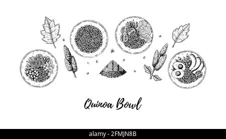 Ensemble de bols de quinoa dessinés à la main et salade. Illustration vectorielle dans le style d'esquisse Illustration de Vecteur