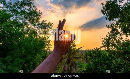 Lever de soleil jaune avec vue sur la nature le matin. Banque D'Images