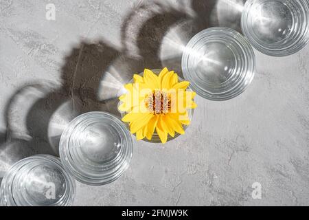 Une rangée de boissons fraîches à l'eau claire avec fleur jaune en verre sur fond de béton, composition créative en lumière dure, vue du dessus Banque D'Images