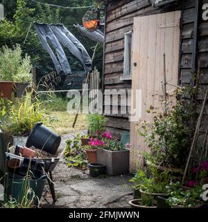 Un abri de jardin avec une brouette devant et un Jean fraîchement lavé qui sèche sur la ligne de lavage en arrière-plan. (Version couleur.) Banque D'Images