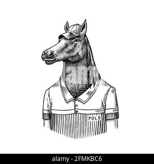 Coteau de cheval. Joueur de polo Dobbin. Animal tendance, gentleman vitoria dans une veste. Ancien croquis monochrome gravé à la main. Vecteur Illustration de Vecteur