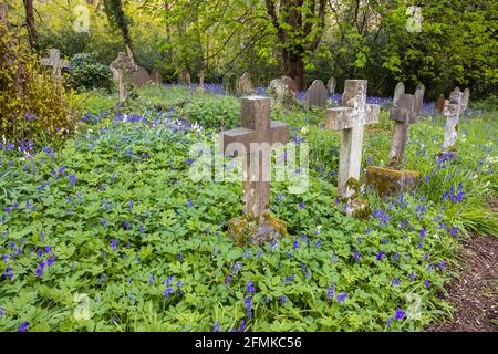 Des cloches de fleurs dans le cimetière traditionnel de l'église paroissiale de St John's à St John's, Woking, dans le diocèse de Guildford, Surrey Banque D'Images