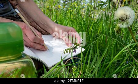 Femme écrivant à la main dans un livre de journal, dans le parc. Assis dans la pelouse entourée d'herbe verte. Gros plan. Mise au point différentielle. Banque D'Images