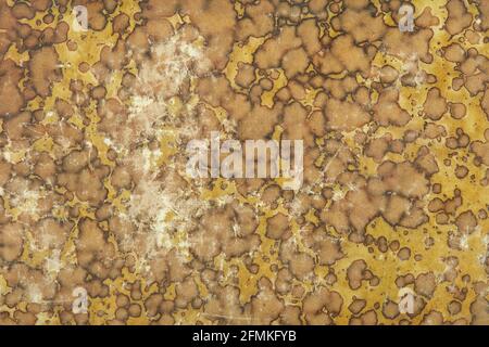 Vieux carton avec jaune et brun décoloré motif abstrait texture arrière-plan Banque D'Images