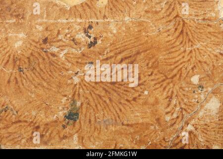 Vieux carton beige avec décorations et fissures texture fond Banque D'Images