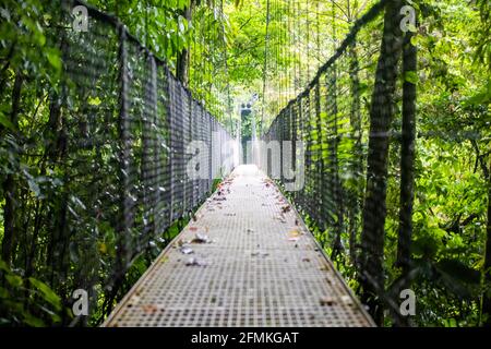 Vue sur les ponts suspendus du parc 'Mistico Arenal Puentes Colgantes' dans la région d'Arenal, Costa Rica Banque D'Images