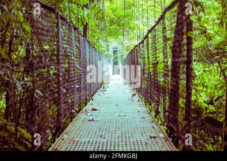 Vue sur les ponts suspendus du parc 'Mistico Arenal Puentes Colgantes' dans la région d'Arenal, Costa Rica Banque D'Images