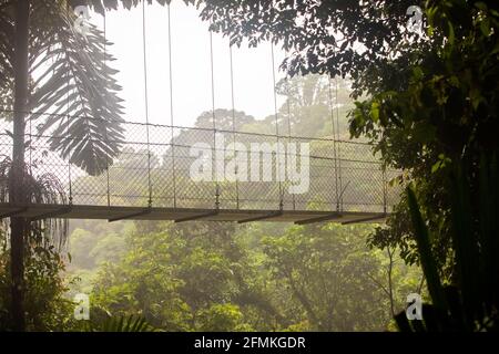 Vue sur les ponts suspendus du parc 'Mistico Arenal Puentes Colgantes' dans la région d'Arenal, Costa Rica Banque D'Images