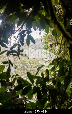 Vue sur les ponts suspendus du parc 'Mistico Arenal Puentes Colgantes' dans la région d'Arenal, Costa Rica Banque D'Images