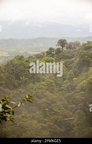 Vue sur les ponts suspendus du parc 'Mistico Arenal Puentes Colgantes' dans la région d'Arenal, Costa Rica Banque D'Images