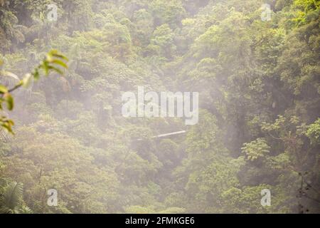 Vue sur les ponts suspendus du parc 'Mistico Arenal Puentes Colgantes' dans la région d'Arenal, Costa Rica Banque D'Images