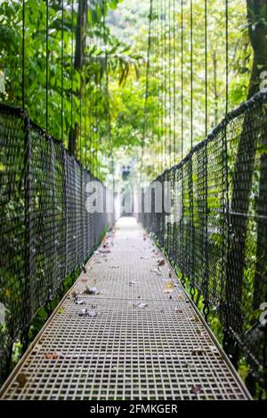 Vue sur les ponts suspendus du parc 'Mistico Arenal Puentes Colgantes' dans la région d'Arenal, Costa Rica Banque D'Images