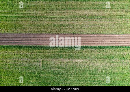 Vue aérienne du champ, photo prise à partir d'un drone. Banque D'Images