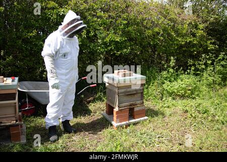 Gardien de beekeeper à la charge de deux ruches Banque D'Images