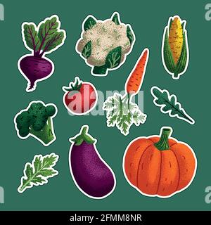 Ensemble d'autocollants pour légumes. Variété de légumes décoratifs avec texture de grain isolée sur fond vert. Alimentation saine végétalienne, nourriture biologique végétarienne Illustration de Vecteur