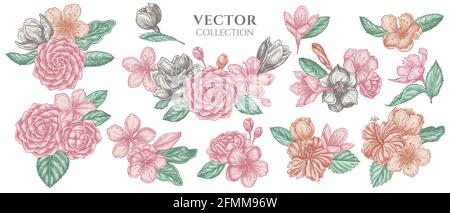 Bouquet de fleurs d'hibiscus pastel, fleurs de prune, fleurs de pêche, fleurs de sakura, fleurs de magnolia, camellia japonica Illustration de Vecteur