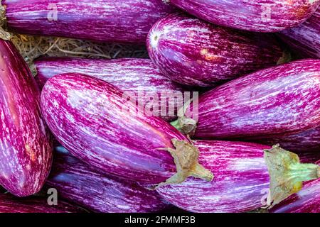 Jeunes aubergines à motif de graffiti violet et blanc Banque D'Images