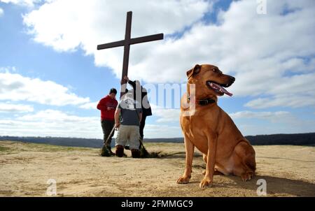 Porter une croix en bois sur Cam Peak le Vendredi Saint avant le dimanche de Pâques dans une promenade de témoin, Gloucestershire Banque D'Images