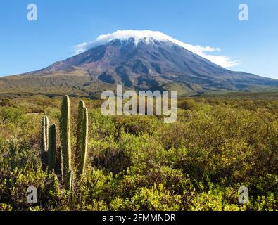 Volcan El Misti au milieu des nuages, l'un des meilleurs volcans près de la ville d'Arequipa au Pérou Banque D'Images