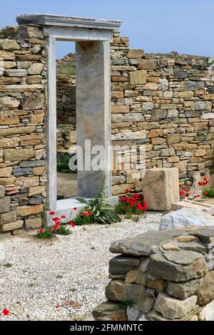 Porte en marbre en ruines de mur de pierre avec fleurs sauvages, île de Delos antique, archipel grec, Grèce Banque D'Images