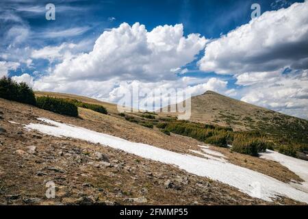 Paysage de toundra dans la nature sauvage de Mount Evans, Colorado Banque D'Images