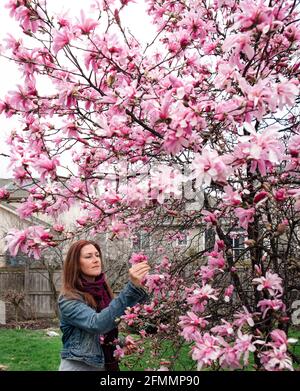 Femme regardant les fleurs roses sur un magnolia un jour de printemps. Banque D'Images