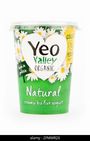 Un bain de yaourt naturel biologique Yeo Valley sur fond blanc. Banque D'Images