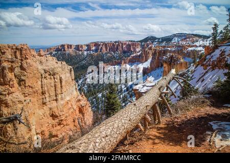 Les roches rouges de Hoodoos Rainbow Point à Bryce Canyon National Park, Utah Banque D'Images