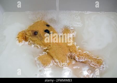 Ours jaune en peluche au dos dans le bain savonneux avec un jet d'eau qui coule à côté de lui. Banque D'Images