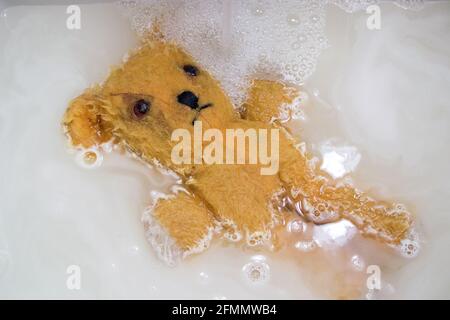 Très aimé, ours en peluche de 40 ans, couché sur le dos, partiellement immergé dans de l'eau savonneuse avec des suds Banque D'Images