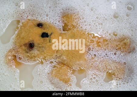 Beaucoup aimé, ours en peluche jaune flottant sur son dos entouré de sudes de savon dans la salle de bains Banque D'Images