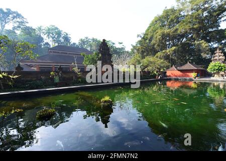 Des koï pêchent dans un étang à l'intérieur du temple de Tirta Empul à Bali, en Indonésie. Banque D'Images